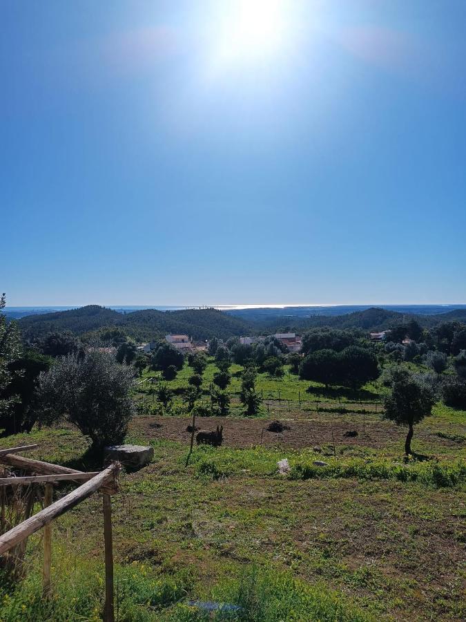 Farm stay Vinha Do Gaio *