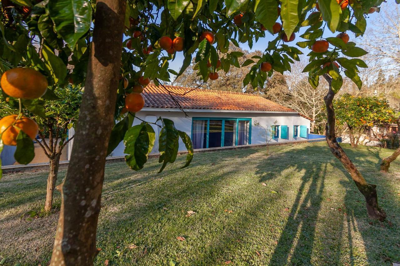 Vale Da Silva - Homes