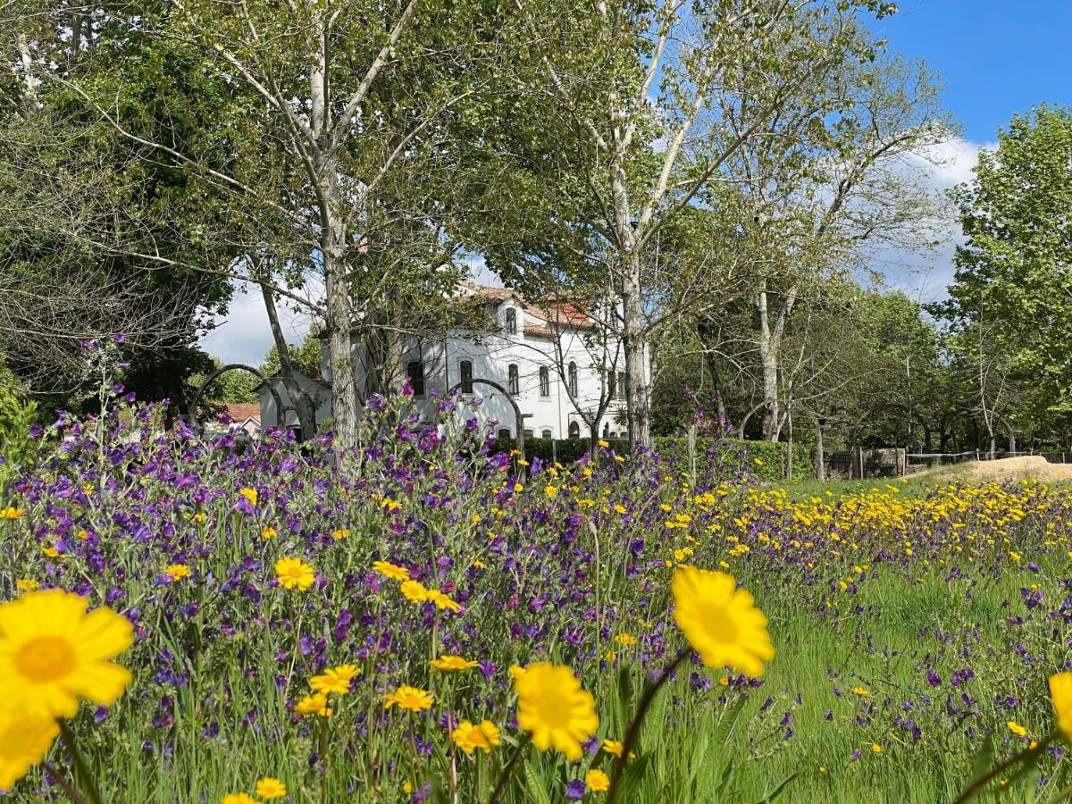 Quinta Do Areal * Lousa (Central Portugal)