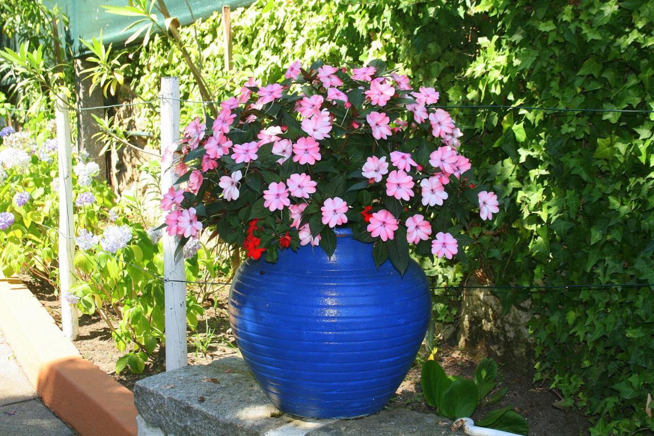 Corredoura Garden