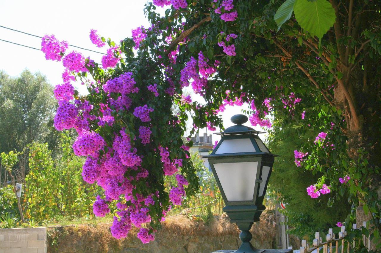 Corredoura Garden 3*