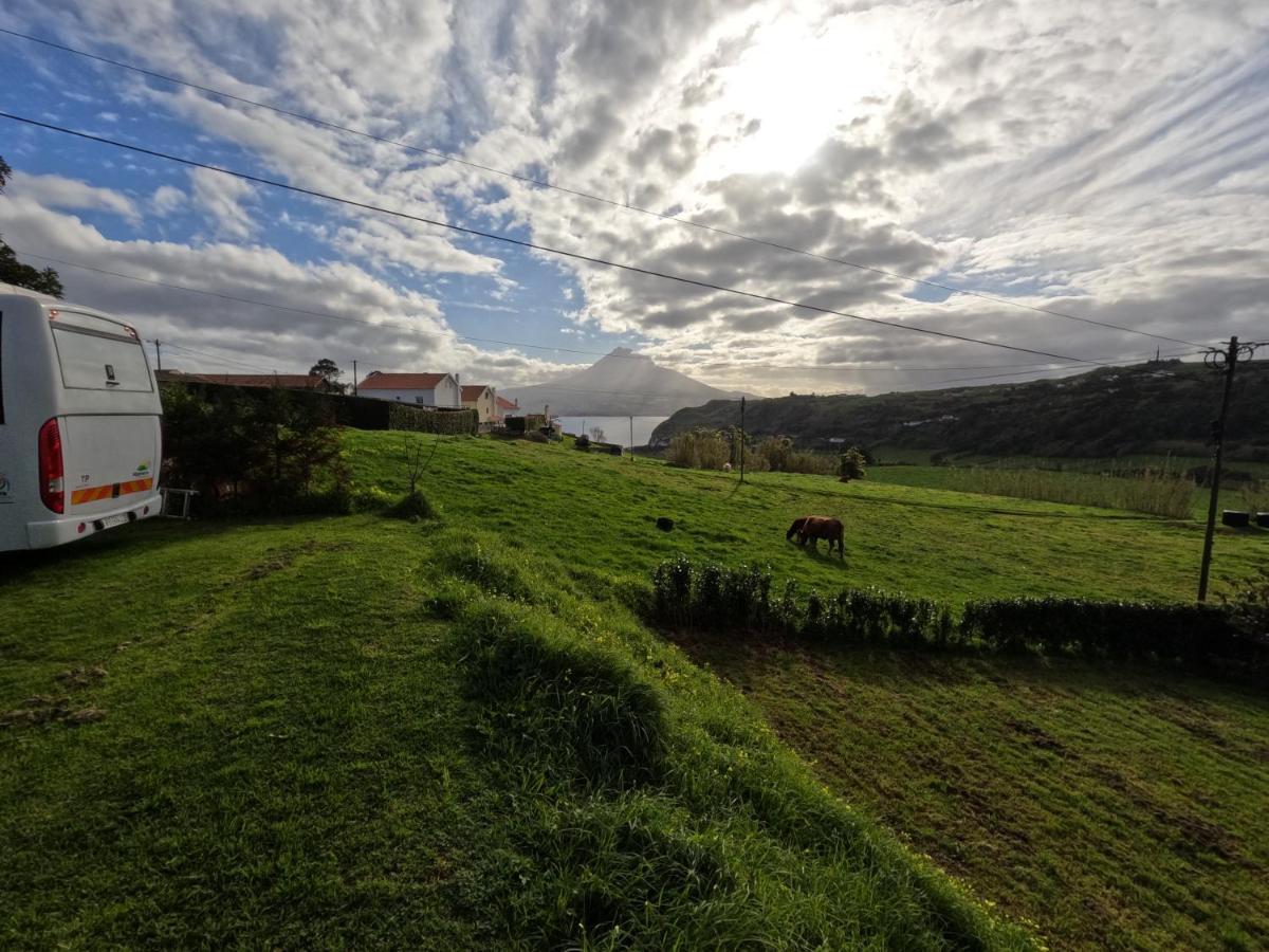 Apartment Do Almoxarife Horta (Azores)