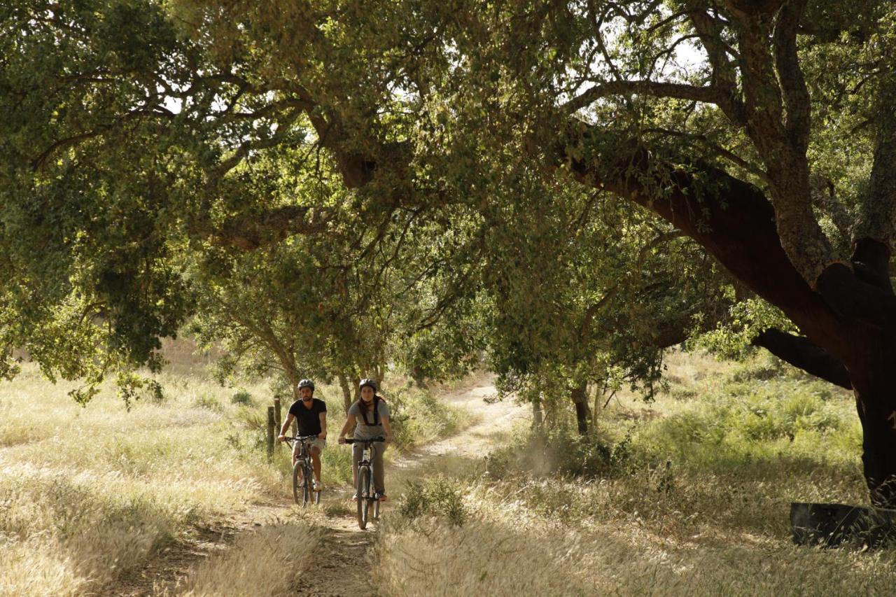 Herdade Da Matinha & Restaurant Cercal do Alentejo