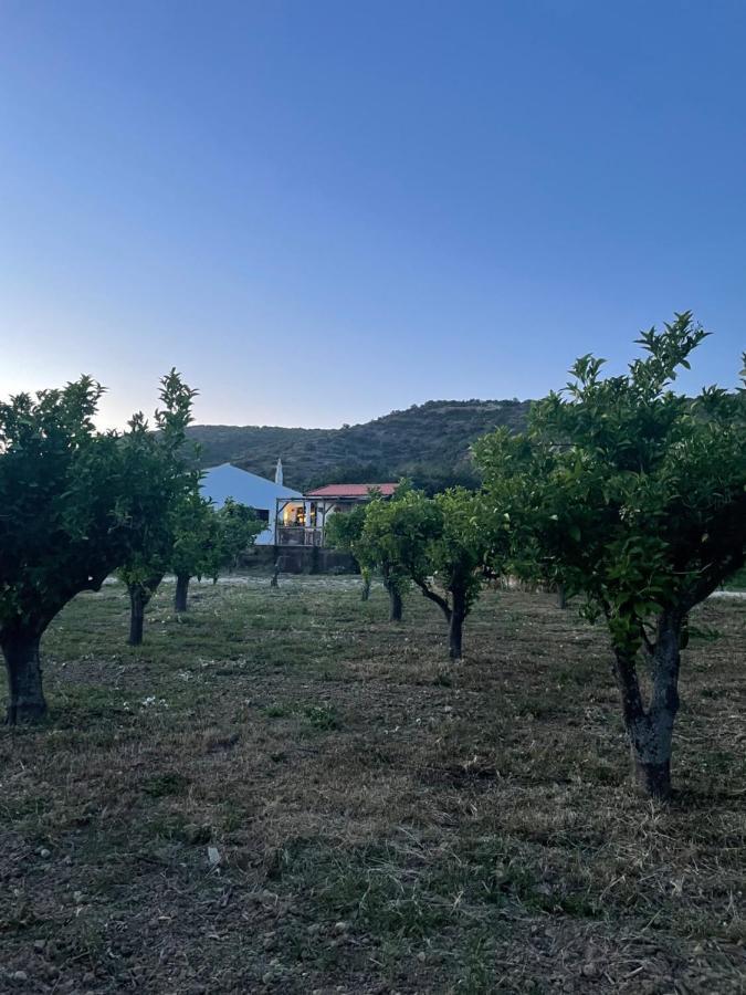 Quinta Da Boa Sorte Chalet *