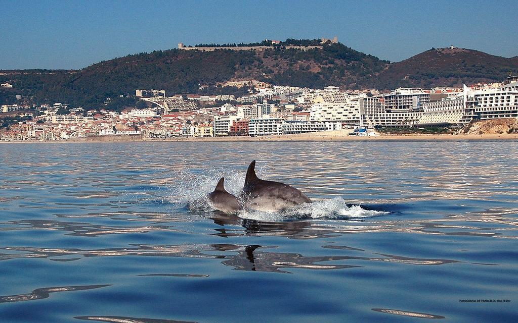 Apartment Atlantic Ocean View Sesimbra