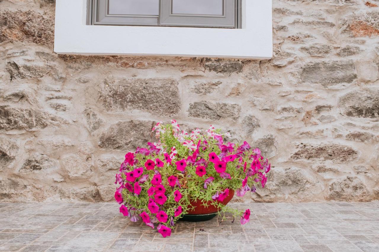 Casa Da Morena Holiday home