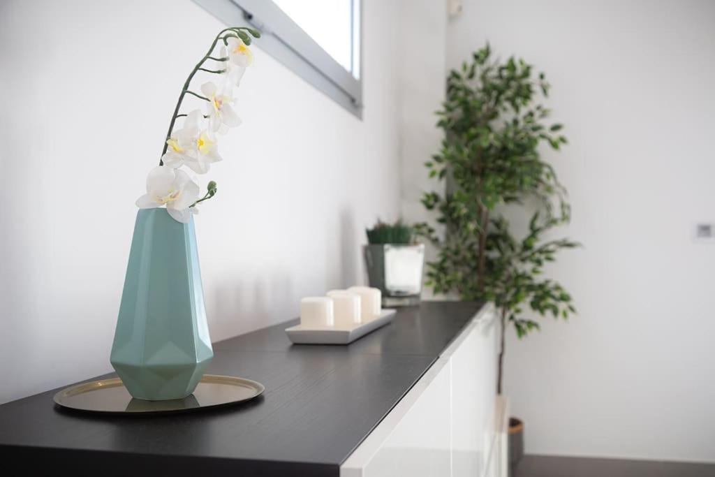 Limoeiro - Beautiful New Nestled In The Heart Of Gale