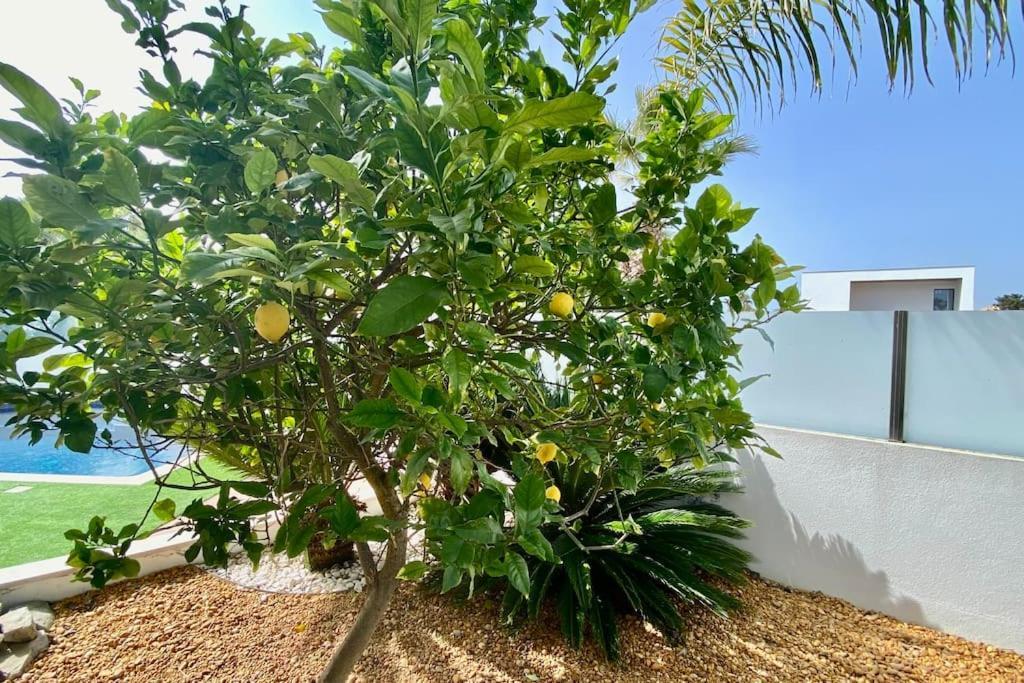 Villa Limoeiro - Beautiful New Nestled In The Heart Of Gale Guia (Faro)