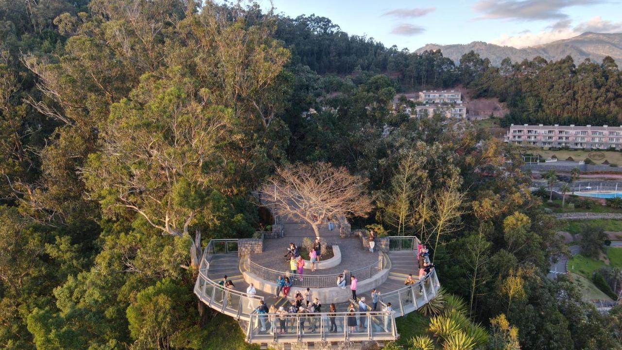 De 40 M² En Madeira, Con 1 Habitación