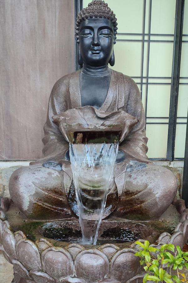 Zen - Museu Do Bonsai Sintra