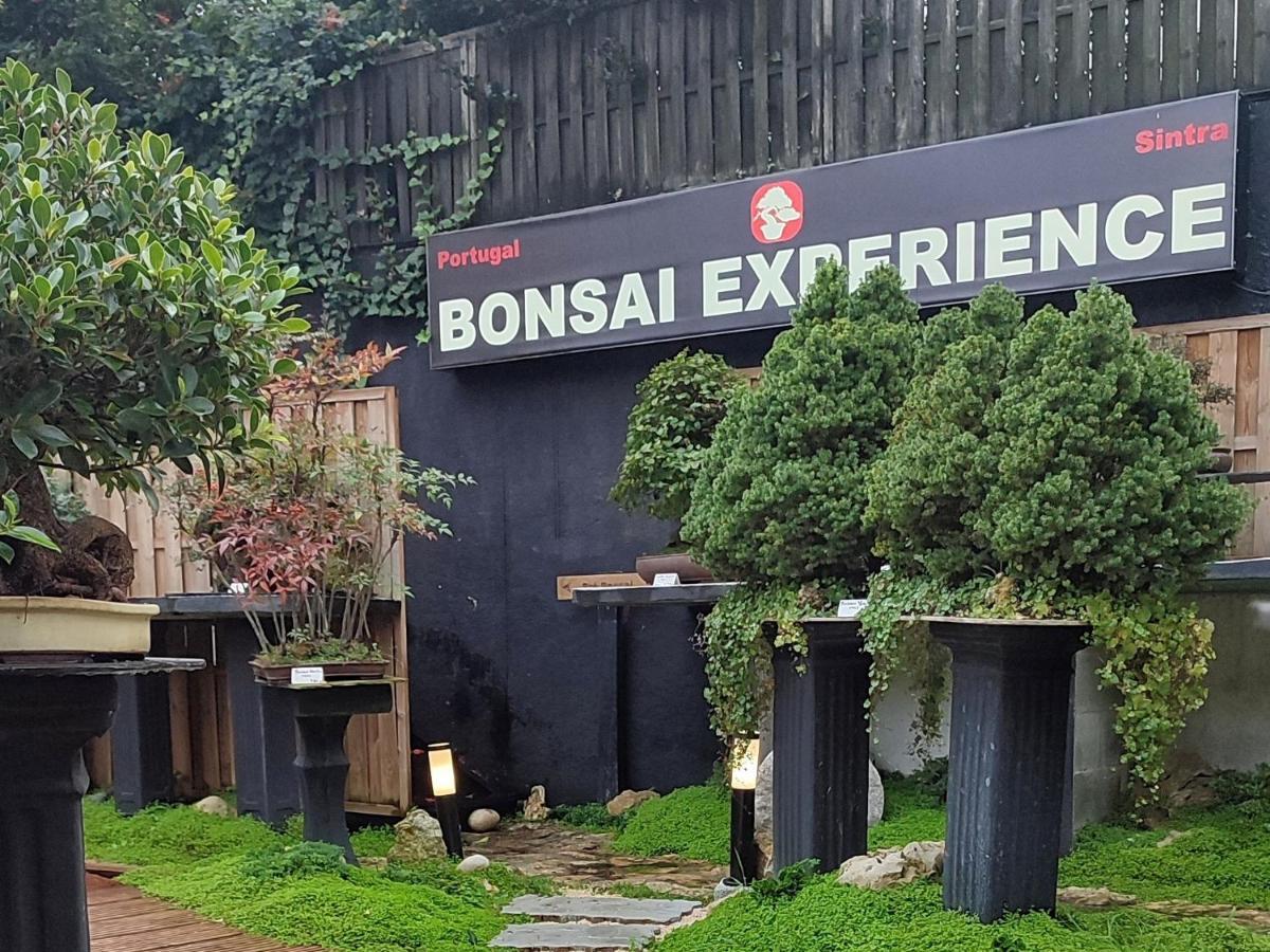Apartment Zen - Museu Do Bonsai *