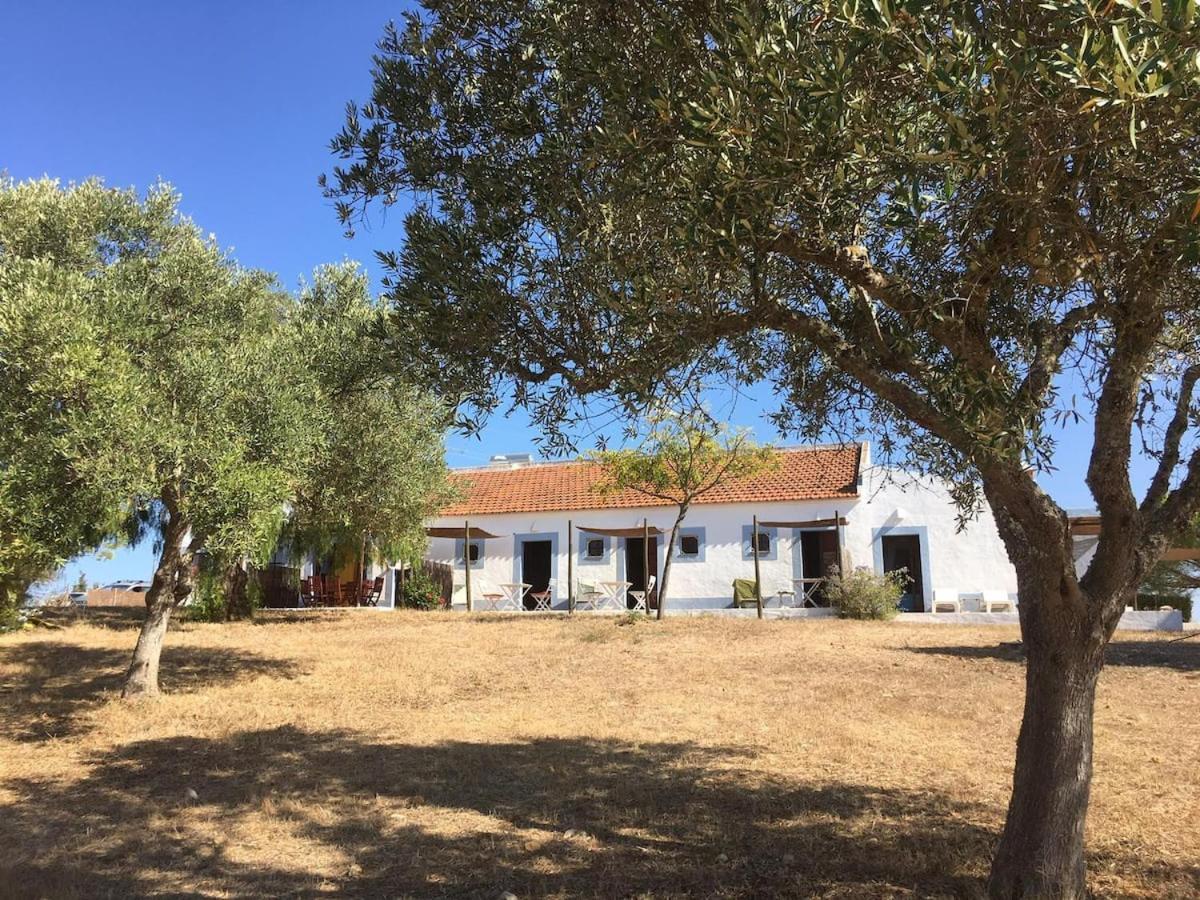 Farm stay Casas Na Vinha - Monte Da Casteleja, Wine Estate - Eco Lagos