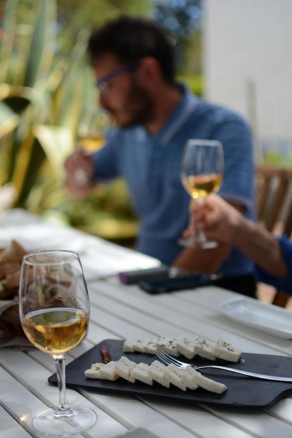 Casas Na Vinha - Monte Da Casteleja, Wine Estate - Eco Farm stay