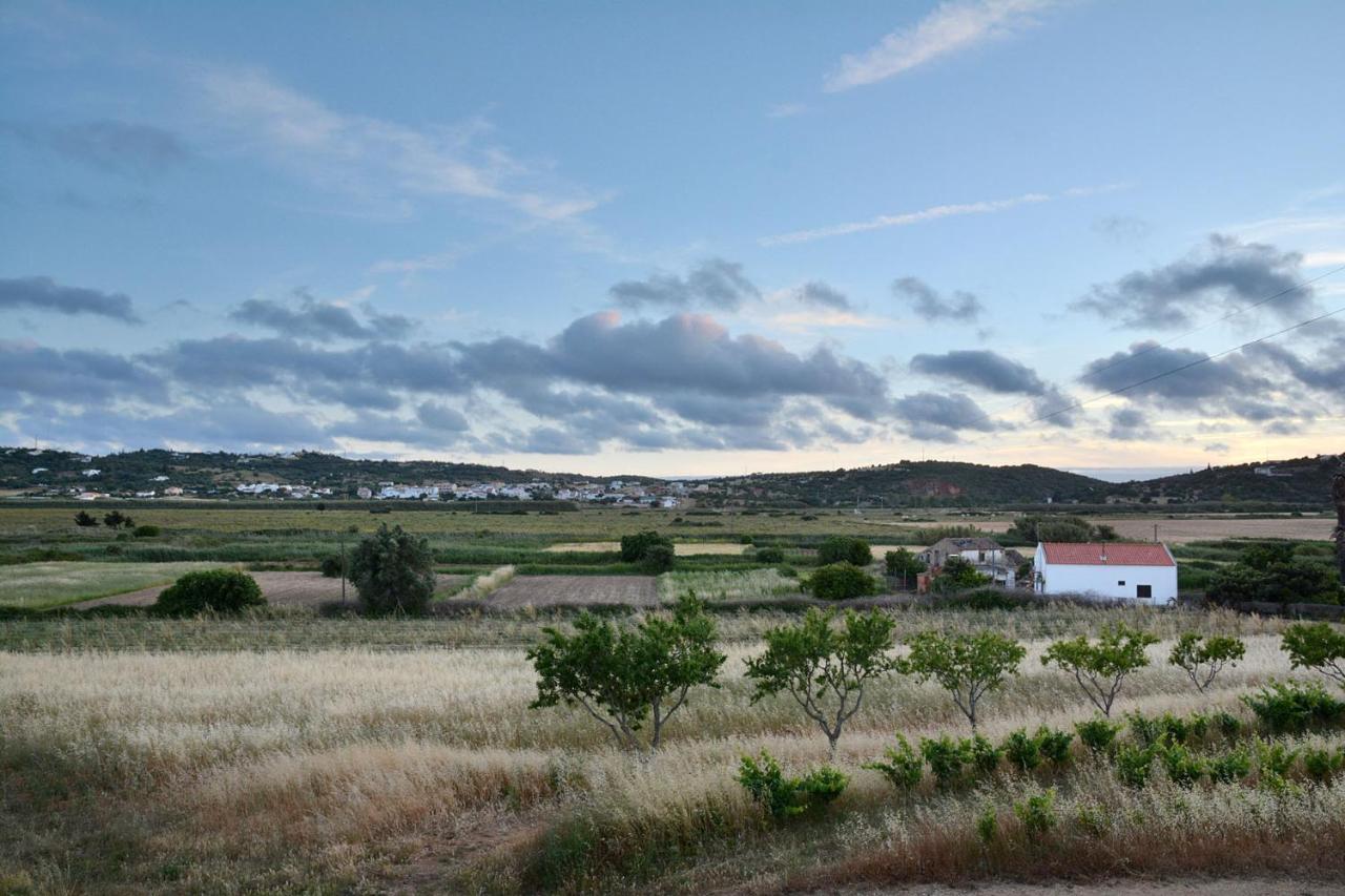 Casas Na Vinha - Monte Da Casteleja, Wine Estate - Eco Farm stay