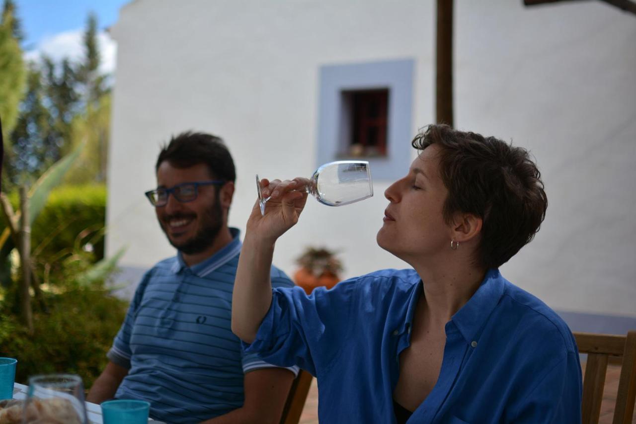 Casas Na Vinha - Monte Da Casteleja, Wine Estate - Eco Farm stay Lagos
