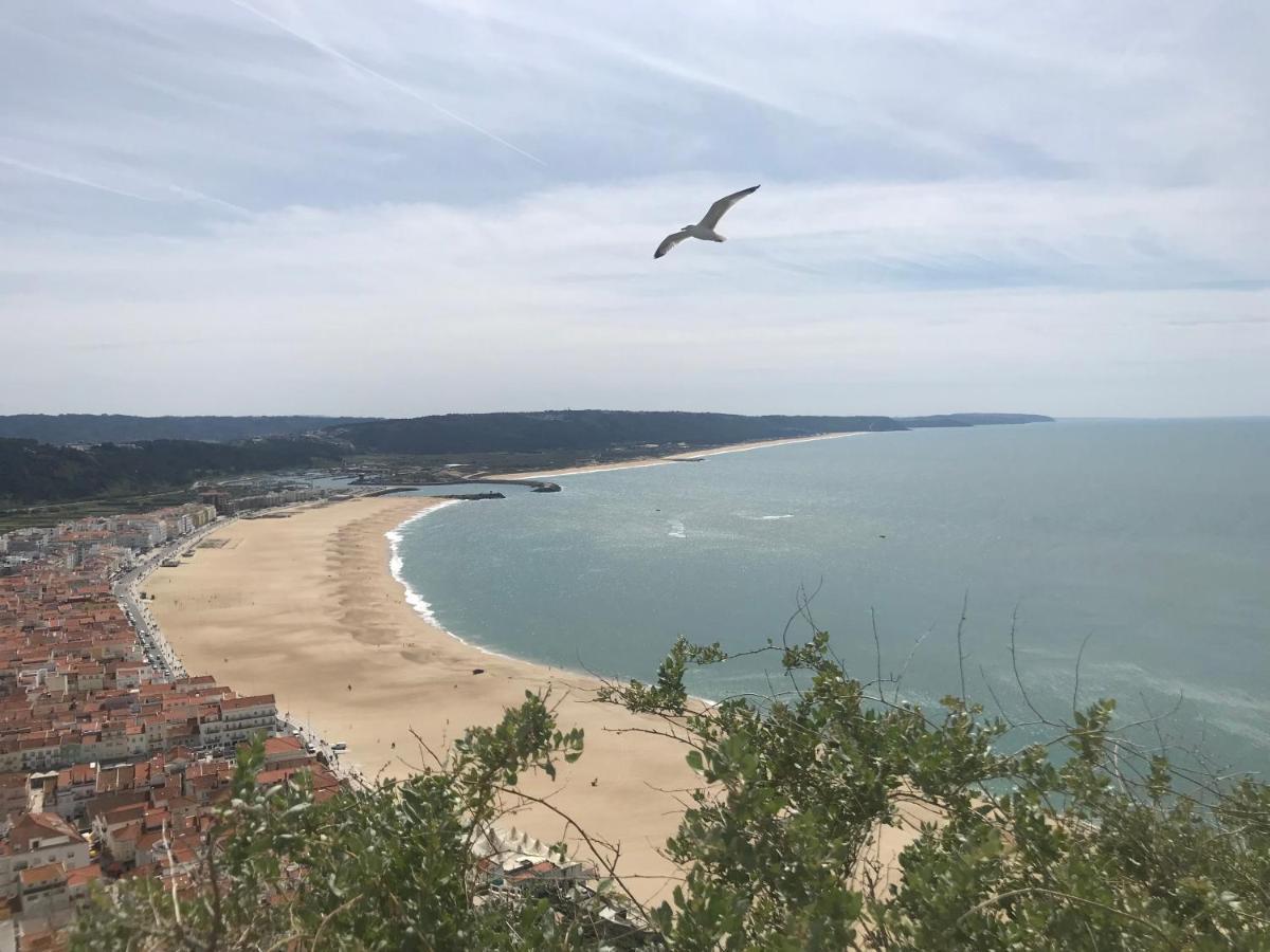 Duplex Apartment Nazare