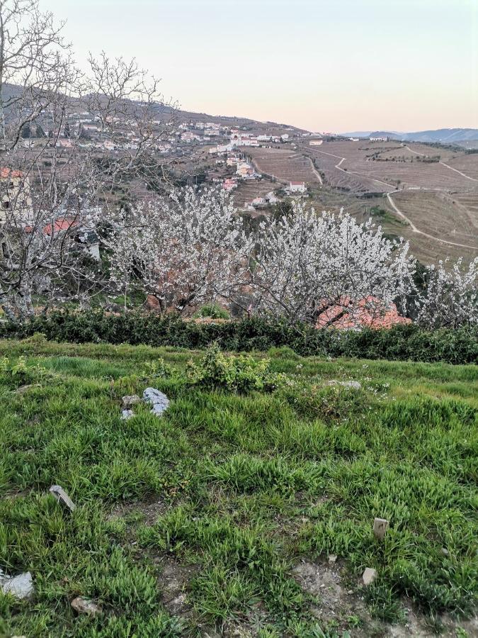 Quinta De Travassinhos- Douro Valley &