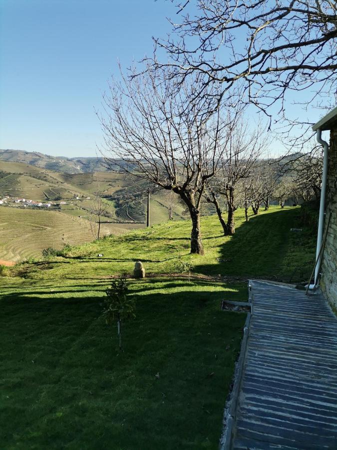 Quinta De Travassinhos- Douro Valley & Farm stay
