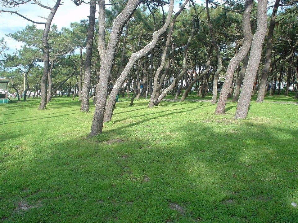Parque De Campismo Da Da Barra