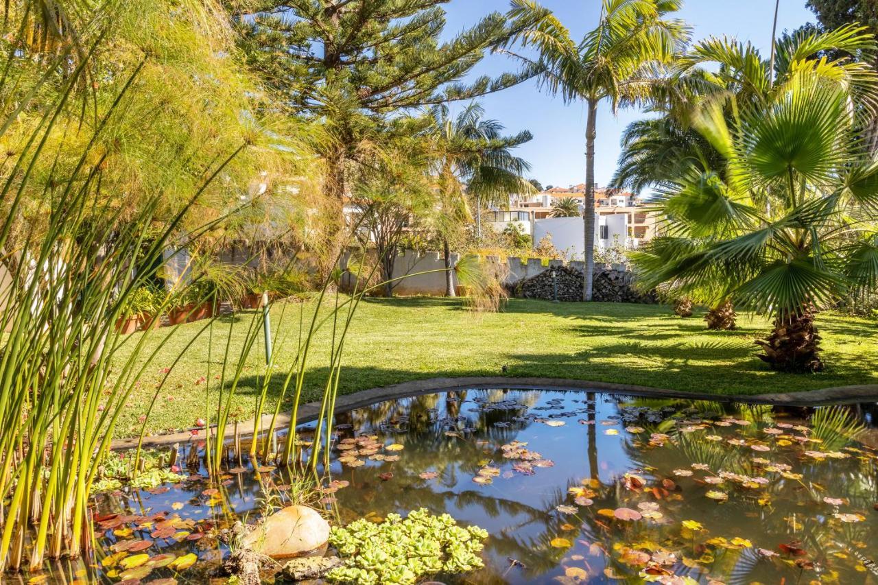 Apartment Echium T1 Canico (Madeira)