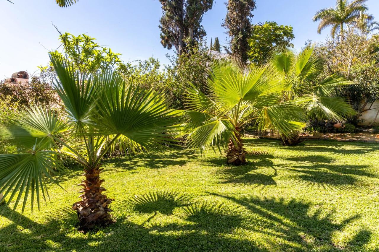 Echium T1 Apartment *