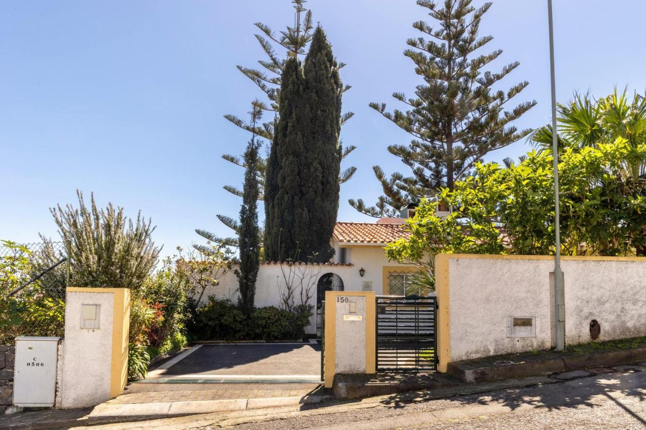 Echium T1 Apartment Canico (Madeira)