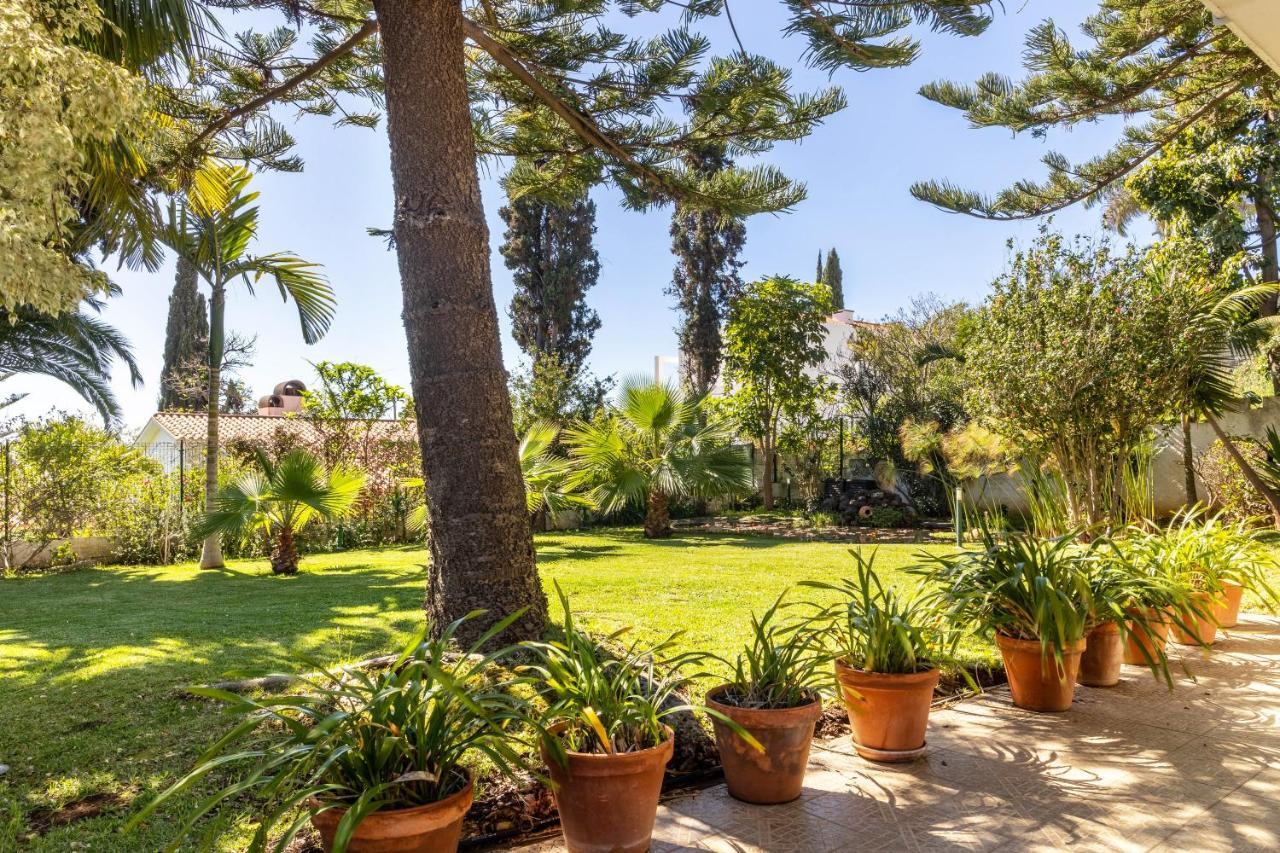 Echium T1 Apartment *