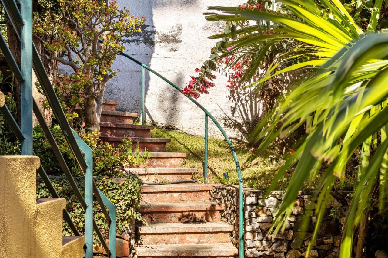 Apartment Echium T1 *