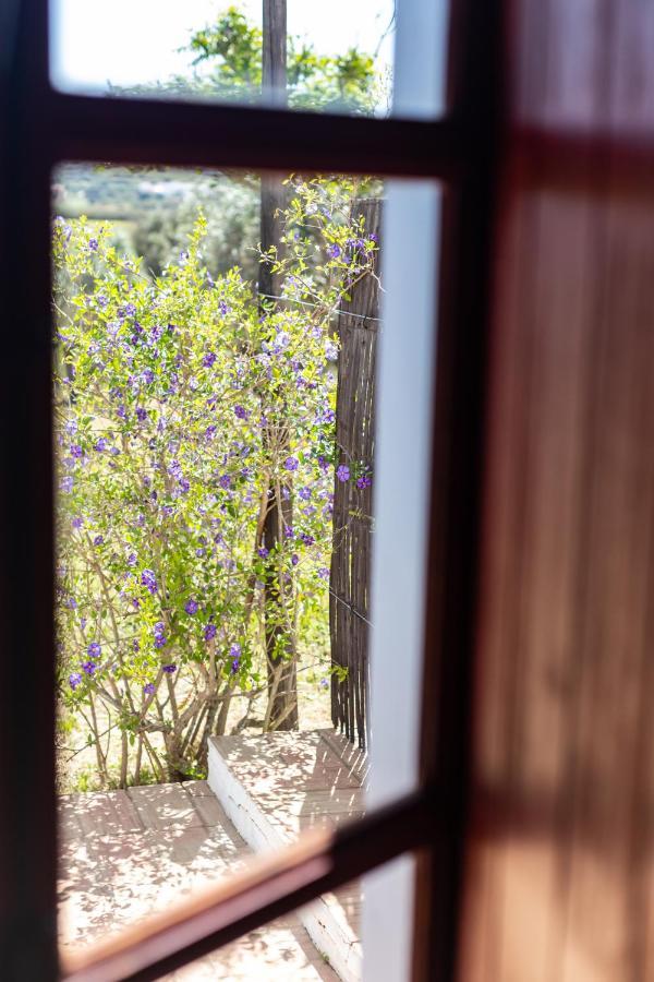 Casas Na Vinha - Monte Da Casteleja, Wine Estate - Eco Farm stay
