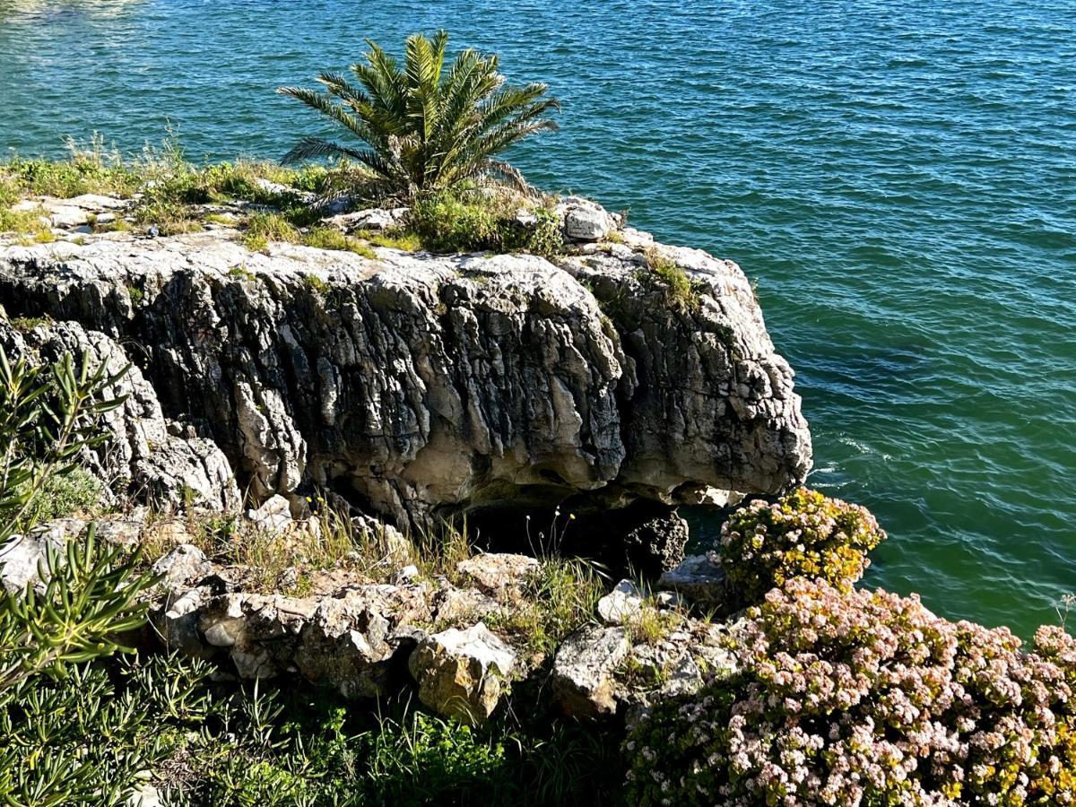 Appartement Ocean Dream Cascais
