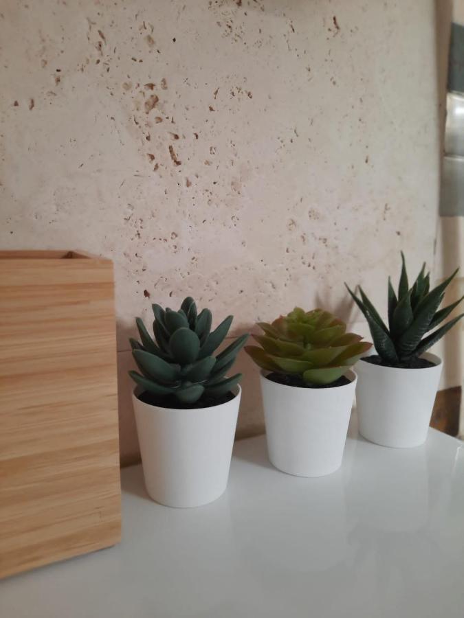 Apartment Bemar Loft