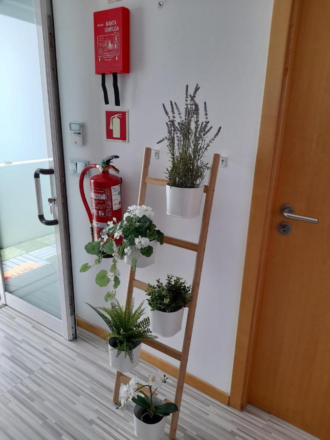 Bemar Loft *