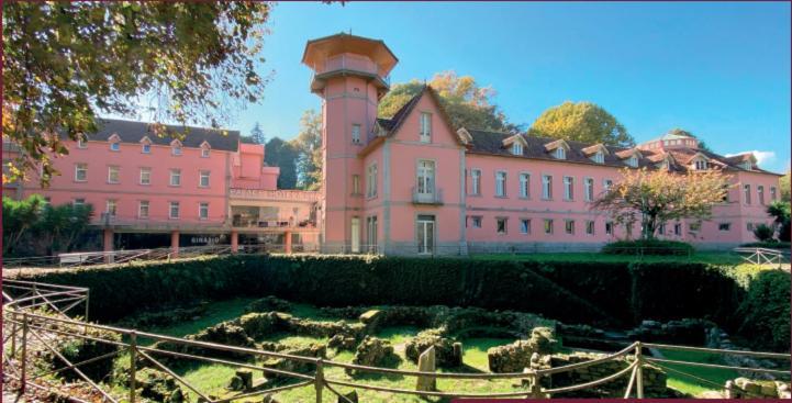 Hotel Palace & - Termas De Sao Vicente Penafiel