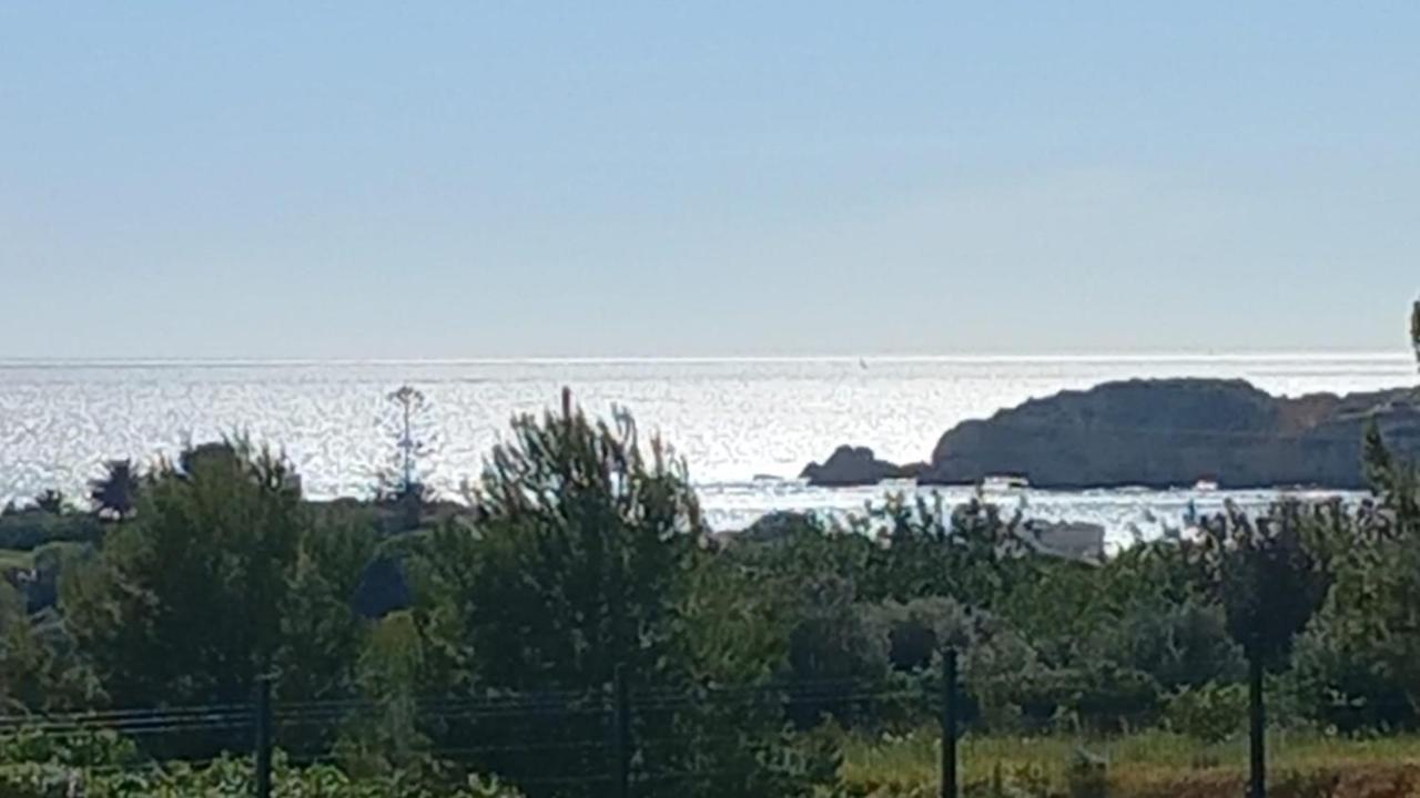 Sea Moments Mar A Vista Apartment
