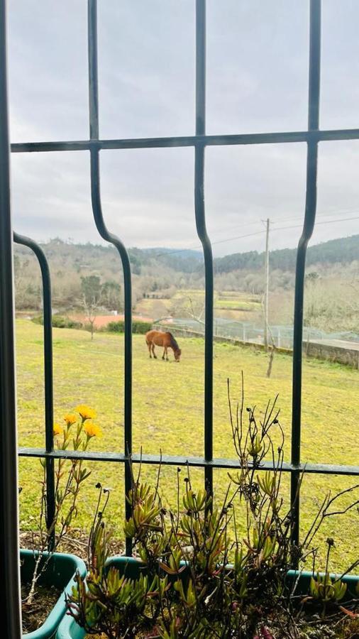 Quinta Do Cambeiro Homestay *
