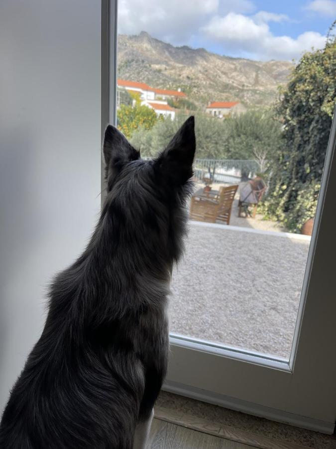Pedra Nova Casa rural