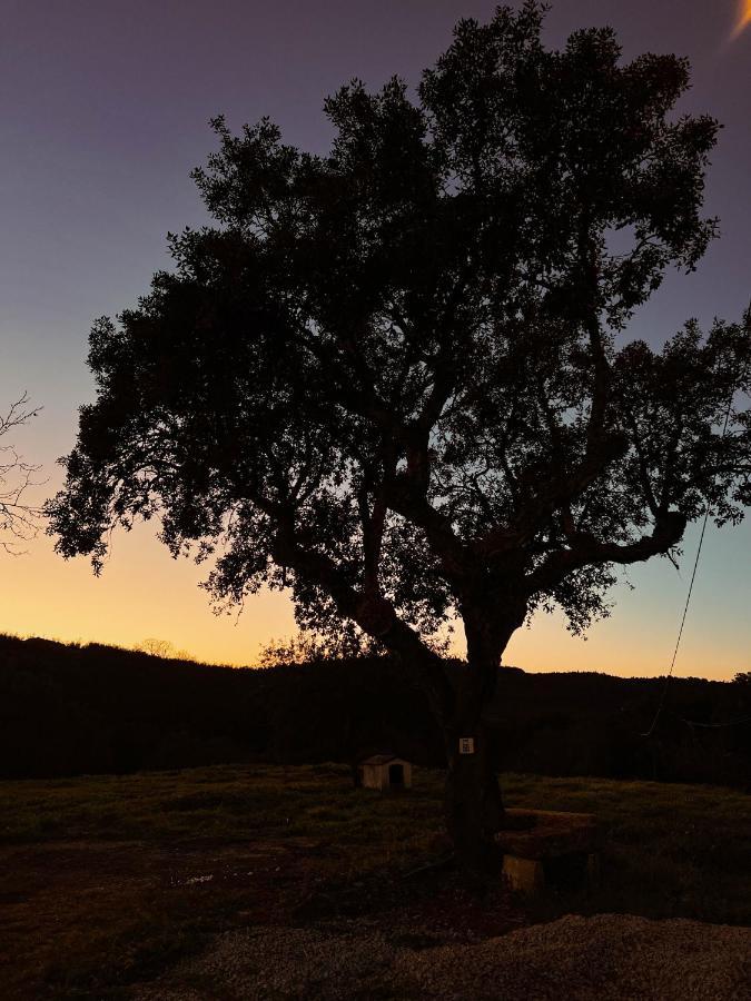 Quinta Da Utopia