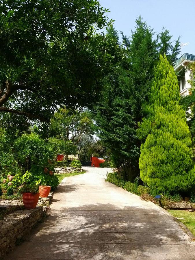 Dos Castanheiros Casa de hóspedes Ferreira do Zêzere