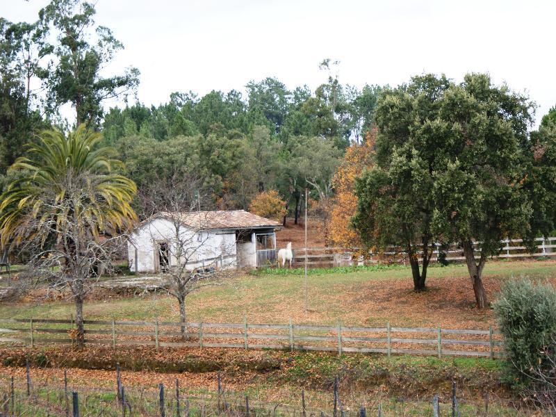 Do Bonjardim Farm stay CENTRE PORTUGAL
