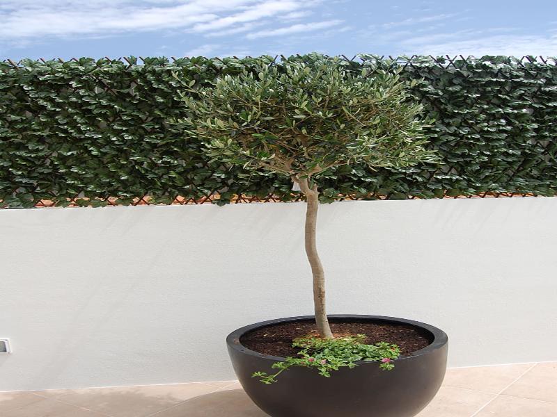 Apartamento Mare