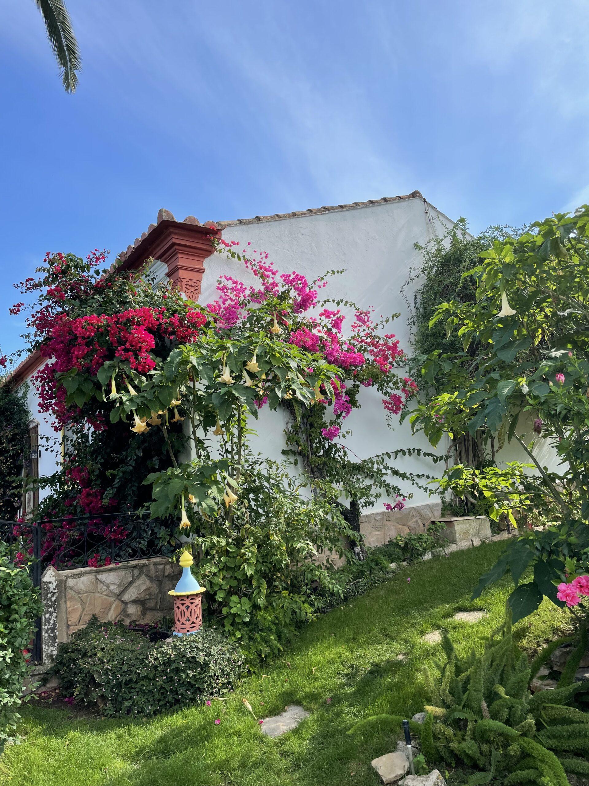 Casa Ferrobo Apartment Sao Bras de Alportel