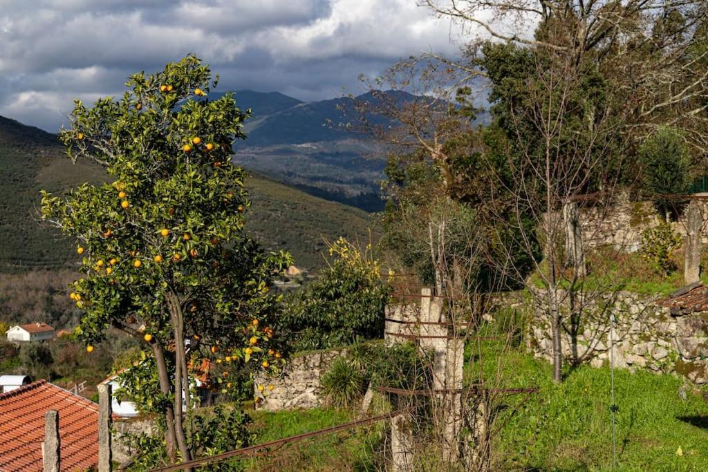 Britelo 1828 - Refugio Na Natureza