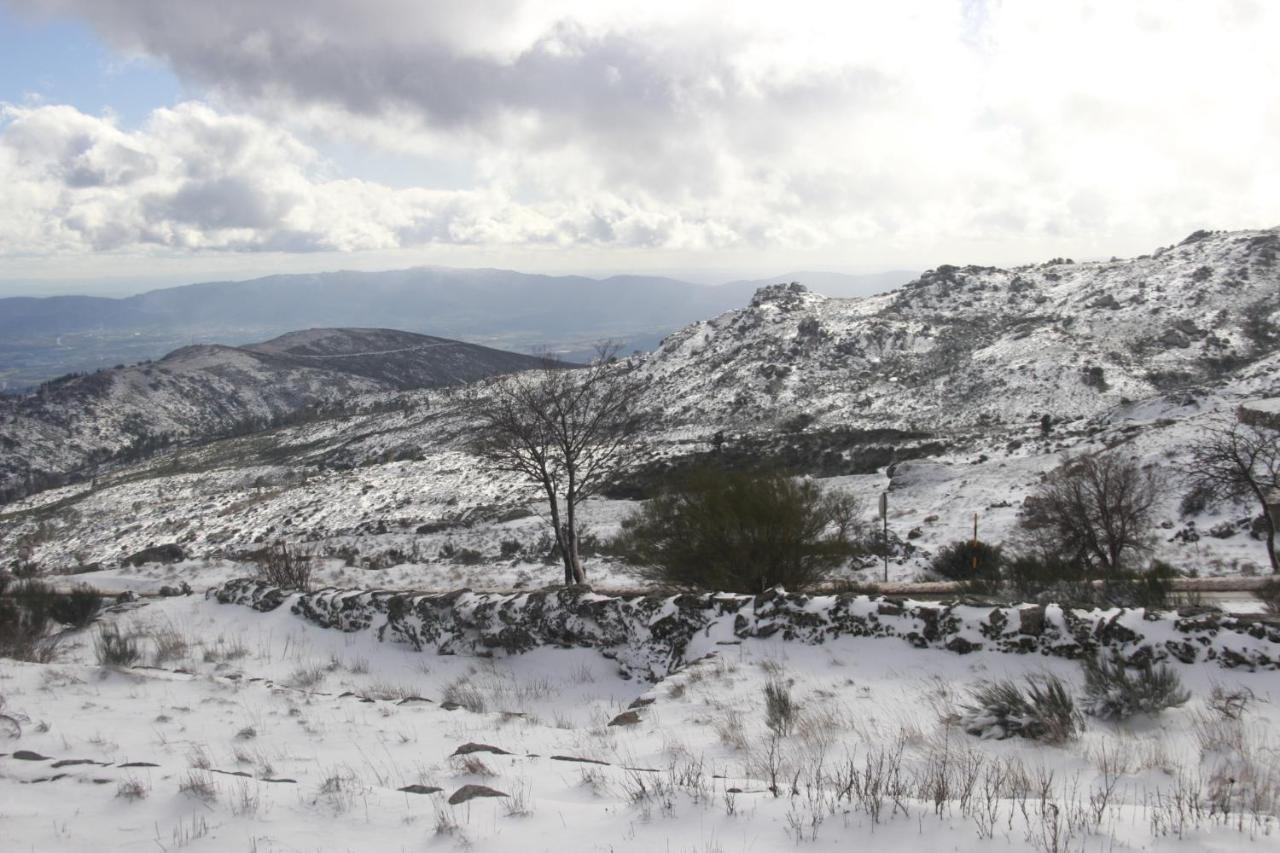 Primor Serra Al