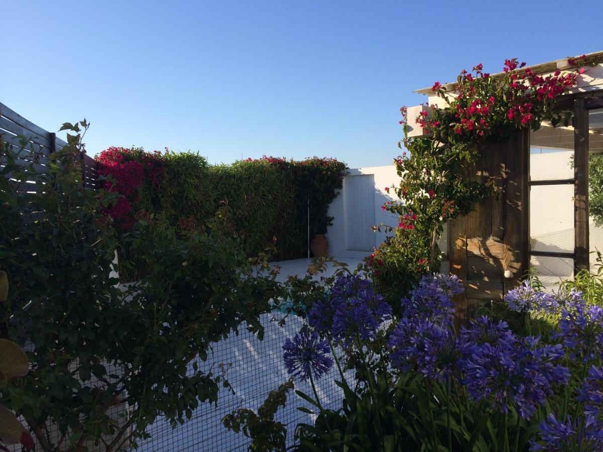 Casa Portas Velhas By In Alentejo Holiday home