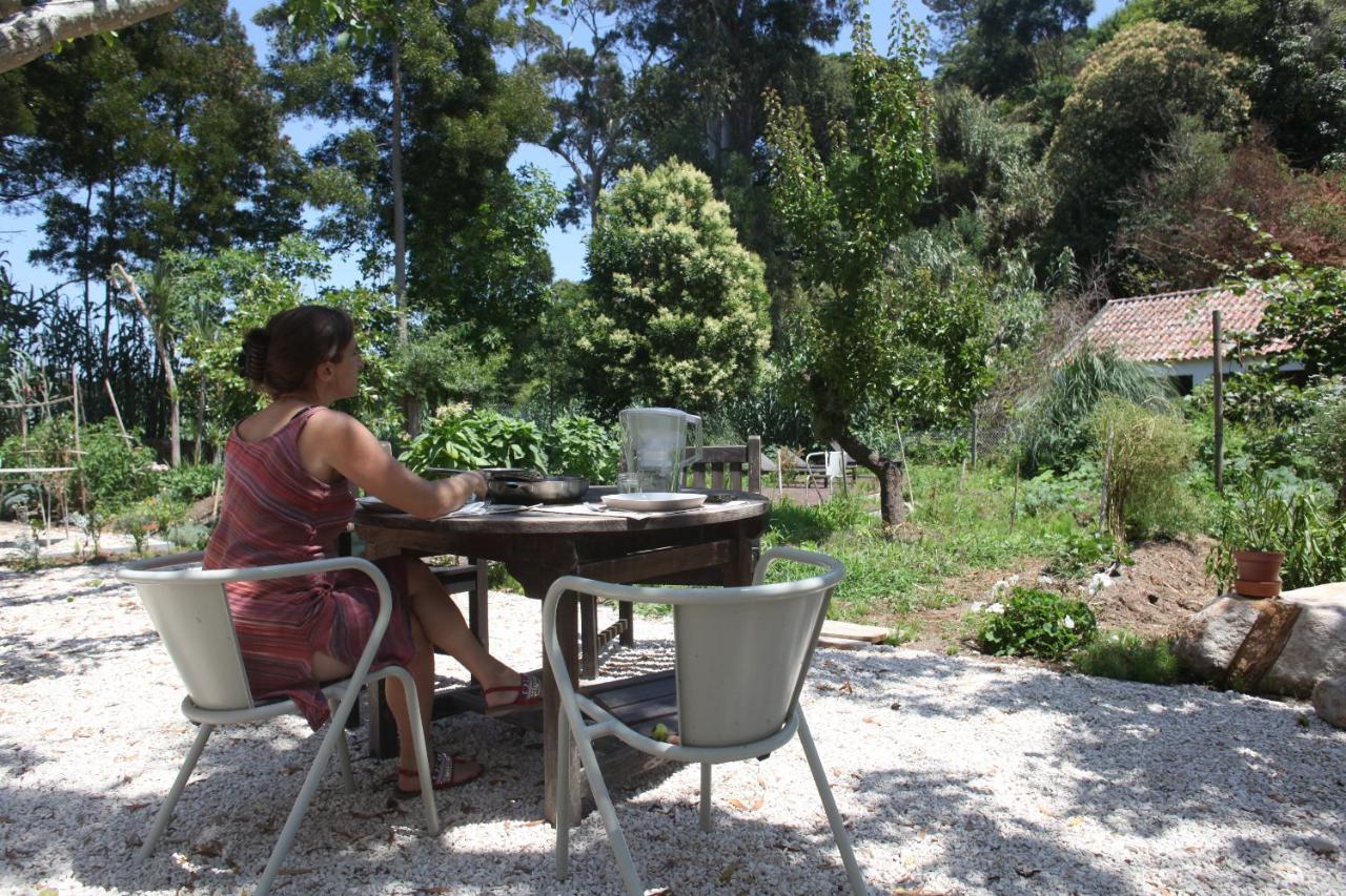 Ribeira Dos Marinheiros Vermelho Apartamento *