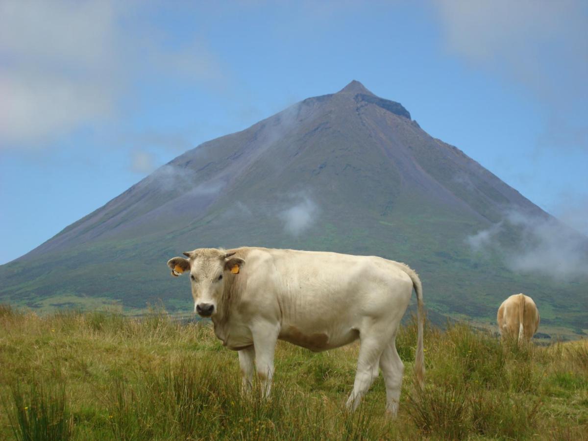 Holiday home Casa Da Abrotea Lajes do Pico