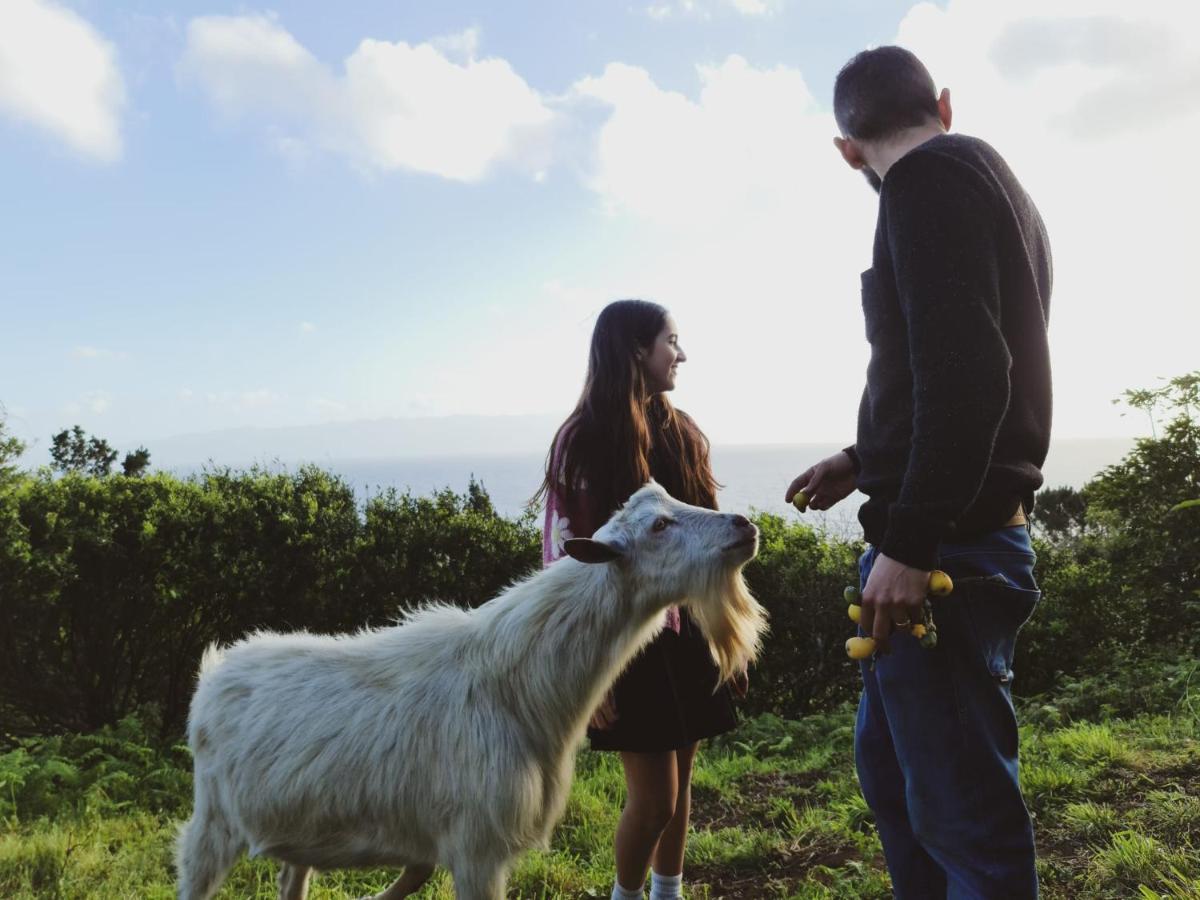 Quinta Do Caminho Da Igreja Ter-casas De Campo Farm stay *