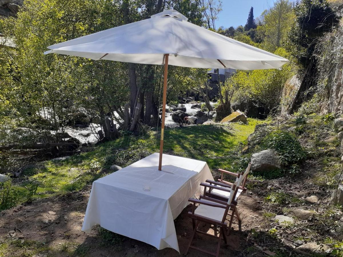 Quinta Dos Carvalhos The Wine House Farm In Center Of - Capital Of The Douro Farm stay *