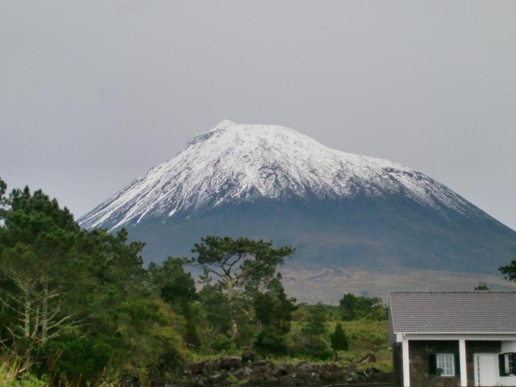 Moradia Familiar Novavista - T3 * Madalena (Azores)
