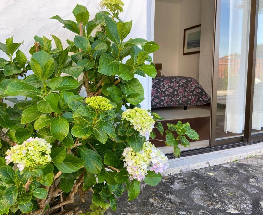 Villa Sitio Do Louro Sao Martinho do Porto